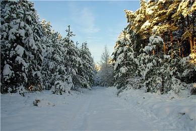 双摇杆肉鸽射击游戏《进击的机甲球》1月底发售