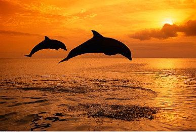 TGA 2022：建造掠夺游戏《Meet Your Maker》宣布2023年4月4日发售